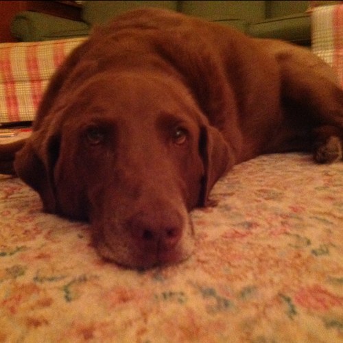 LankDunton's profile picture. 