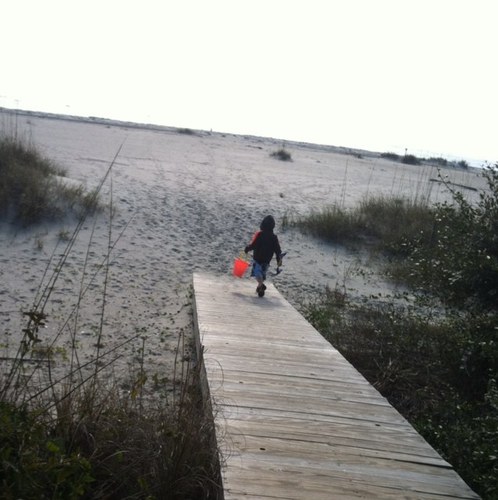 SidDuckNC's profile picture. 