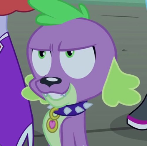 A Talking Dog, and Twilight's Assistant!
