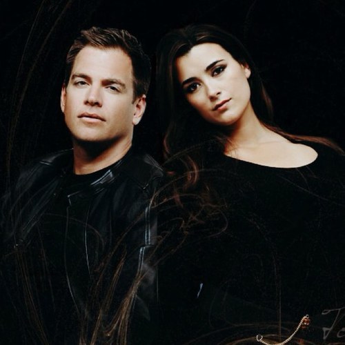 Obbssed with NCIS, seen every episode, more than once. I ship Tiva, McAbby, an Mote