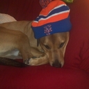 Brian Wnek - @bew1979 - Twitter