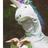 F4RTGUY69's profile image