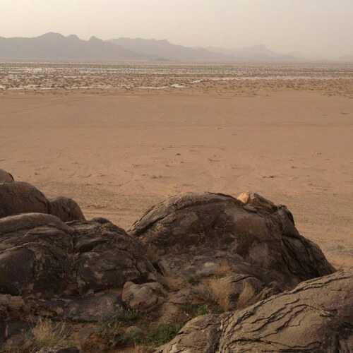 faisal_3300's profile picture. 