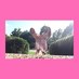 Abby Swaim (@abbyswaim) Twitter profile photo Abby Swaim (@abbyswaim) Twitter profile photo