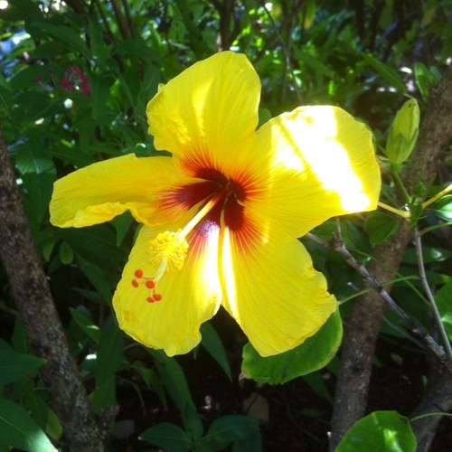 slowlearner0120's profile picture. 