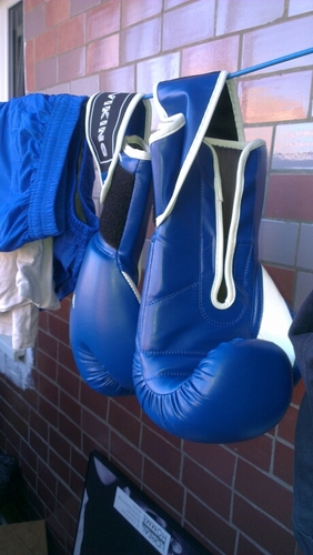 Dionik82's profile picture. iron like lion in Zion