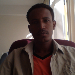 Construction Engineer