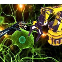 University College London @ucl #BioImageAnalysis High Content Screening #assays #drugdiscovery #organoid #imageprocessing #BigImageData #research views:mine