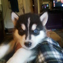 Norma Griffith - @Fr33Norma - Twitter