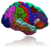 FreeSurfer (@freesurfermri) Twitter profile photo FreeSurfer (@freesurfermri) Twitter profile photo