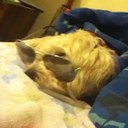 Jack Racine - @JRacinemachane - Twitter