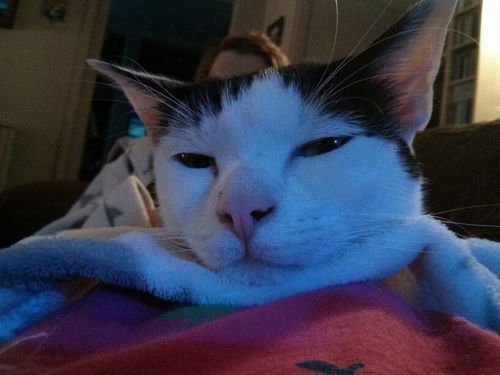 HuwCCFC's profile picture. 