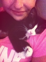 KatelynnRae's profile picture. cats,food, random