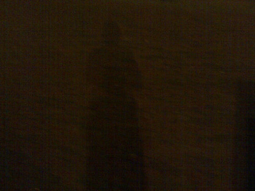 J3DikkeMoeder's profile picture. Ik drink baby bloed, bid tot satan en haat alles met kleur. Headbangen doe ik niet want daar krijg ik hoofdpijn van.