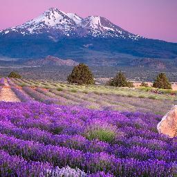 sarahmartyn2's profile picture. 