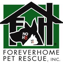 Foreverhome Pet Rescue is an all-volunteer nonprofit pet rescue organization in the Los Angeles area.