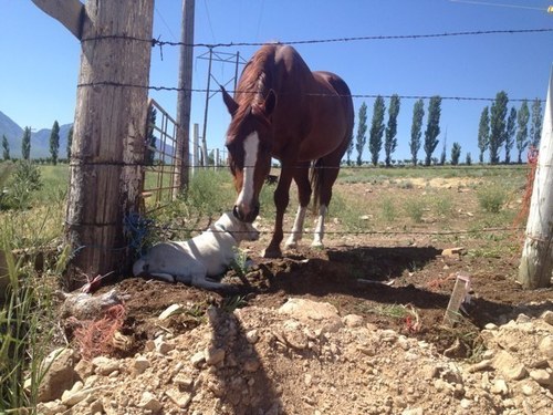 blake_bjc1's profile picture. 