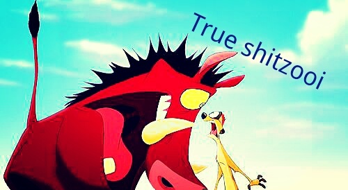 ~true tweets about everything around us~ nf =nfb~