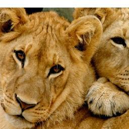 mbassadoor's profile picture. Christian, 59, physically disabled, Soul strong