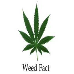 darbyphillip's profile picture. Sports Performance Gear byAllAmericnAthletix - Just Released!