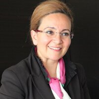 Sema Aksoy (@avukatsemaaksoy) Twitter profile photo