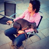 susie liggat (@susieliggat) 's Twitter Profile
