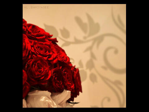 12/4/1995 is my day ،،احبائي و إن أغمضت جفناي للمره ﺎلأخيره ٺمتموا علي بالرحمه ف أني ﺎحتاجها حقا ♥