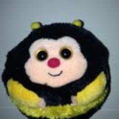 Your Trusted Friend, Buzzing to help you find a job!