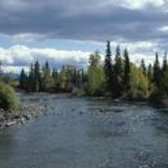 JustineMooi's profile picture. Social Media guru