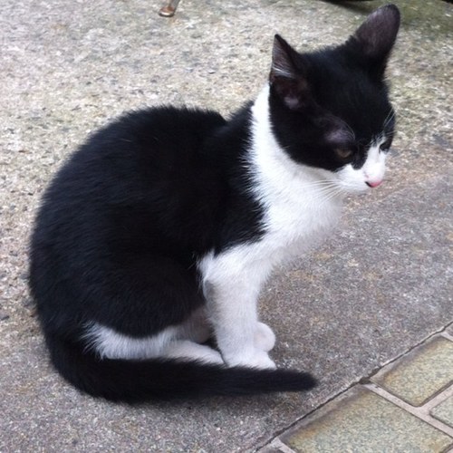 Shivappp's profile picture. 