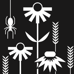 AliciaMalkin's profile picture. 