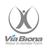 viabiona's profile image