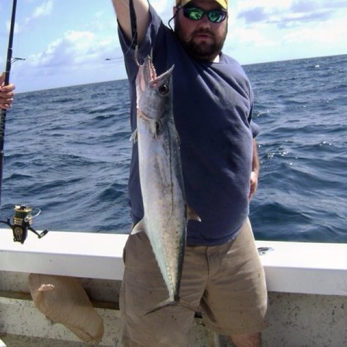 BussyOlson's profile picture. Grain Marketing Specialist for South Dakota Wheat Growers.