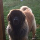 Bill Meier - @bmeier1959 - Twitter