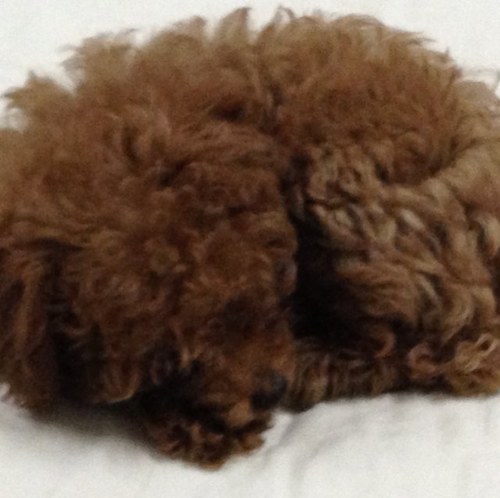 climck's profile picture. 