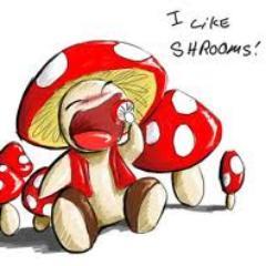 Tous les champignons sont comestibles, mais certains ne le sont qu'une seule fois.
