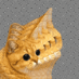 Cat Memes (@catmemes) Twitter profile photo Cat Memes (@catmemes) Twitter profile photo