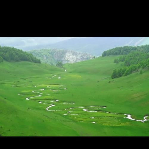 t7booh's profile picture. 