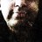 coolamty's profile image
