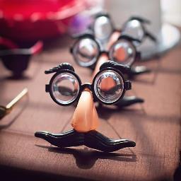 CelebrationPB's profile picture. Our Photobooths can capture the intimate, hilarious and unexpected memories. It's just FUN!