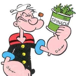 Conservative perspective from flyover country.                                           Eat your spinach -- Mom says it's good for you.