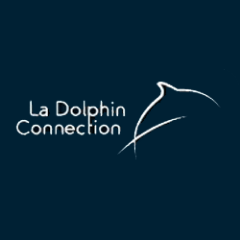 La Dolphin Connection en español | Web+Blog sobre los delfines | España & Latinoamérica | Tweets en/in Español - English - Français | http://t.co/IZIOAWaMFN