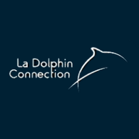LaDolphinConnection (@accion_delfines) 's Twitter Profile