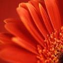 Allyson Wright - @AllysonWright4 - Twitter