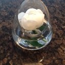 Claire shields - @Claireshields13 - Twitter