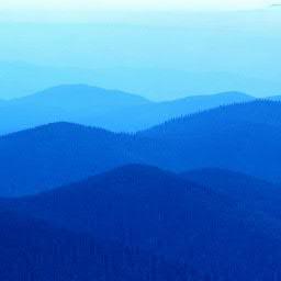 jlpalaciosv1970's profile picture. 