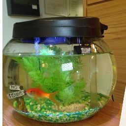 Goldfish lives in John Buddle Work Village Reception. Providing modern affordable office space with flexible terms and fantastic conference facilities too.