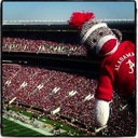 Lee Ann Dasher (@59Bamagirl) Twitter