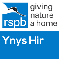 Ynys-hir (@ynys_hir_rspb) 's Twitter Profile