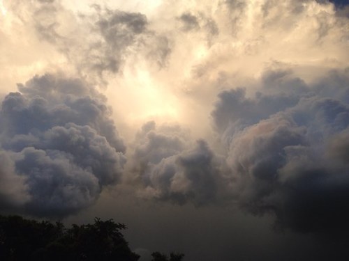 SpidahlDavid's profile picture. 